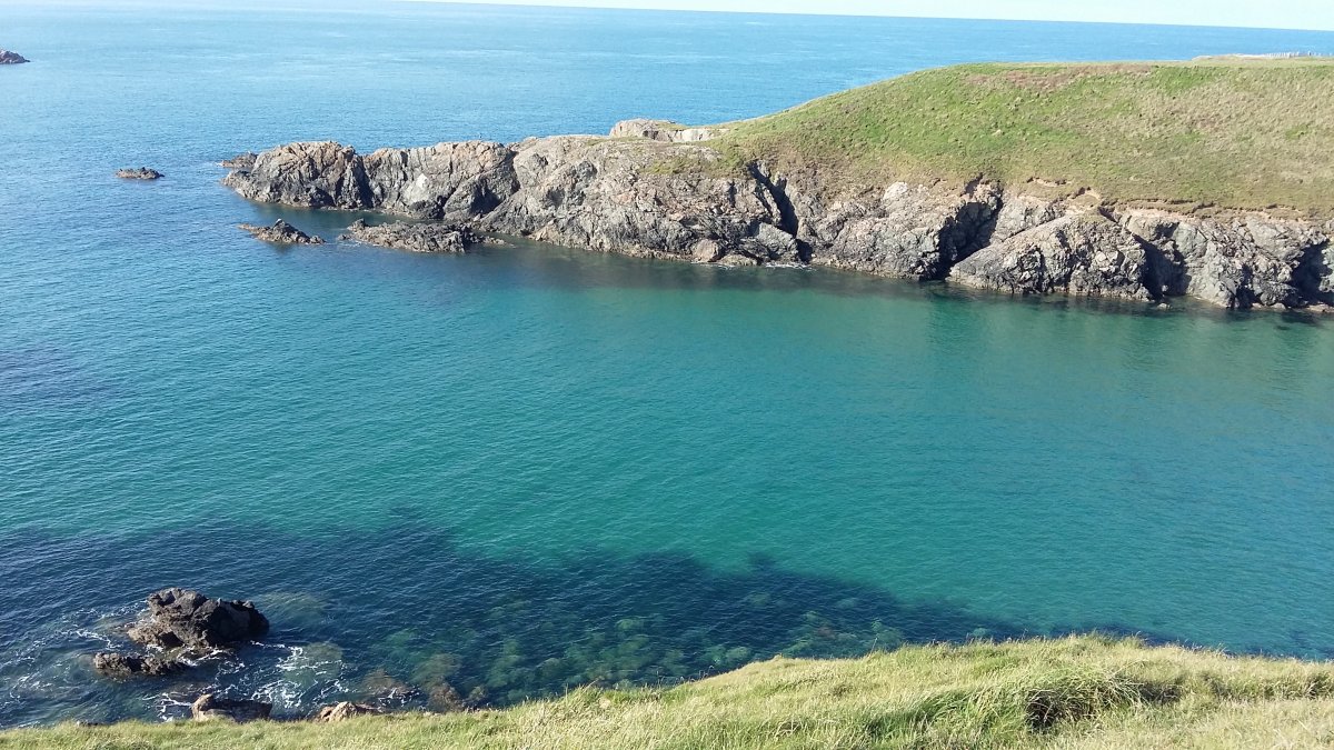 Carrog Farm Cottages - stunning views and close to the Coastal Path